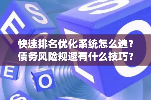 快速排名优化系统怎么选？债务风险规避有什么技巧？